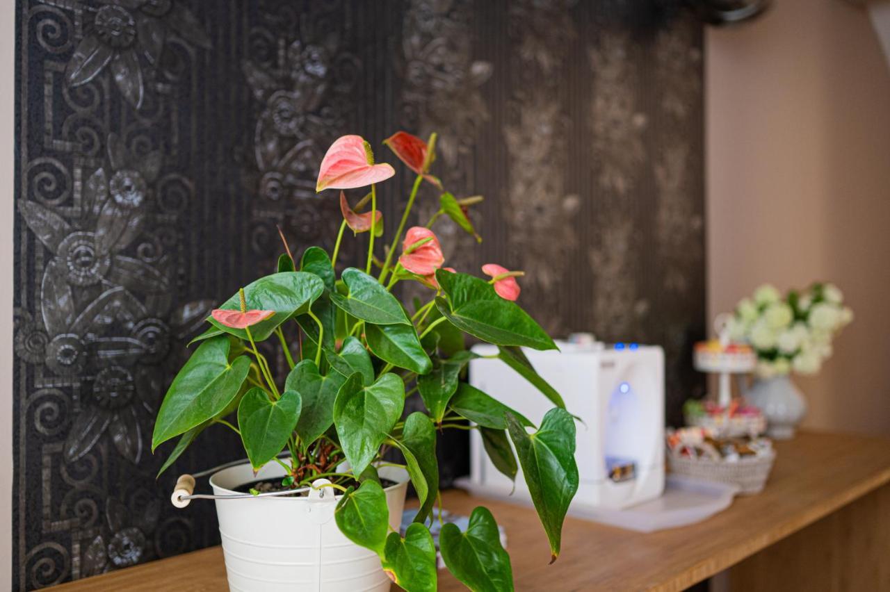 Paon Boutique Apartments ザグレブ エクステリア 写真